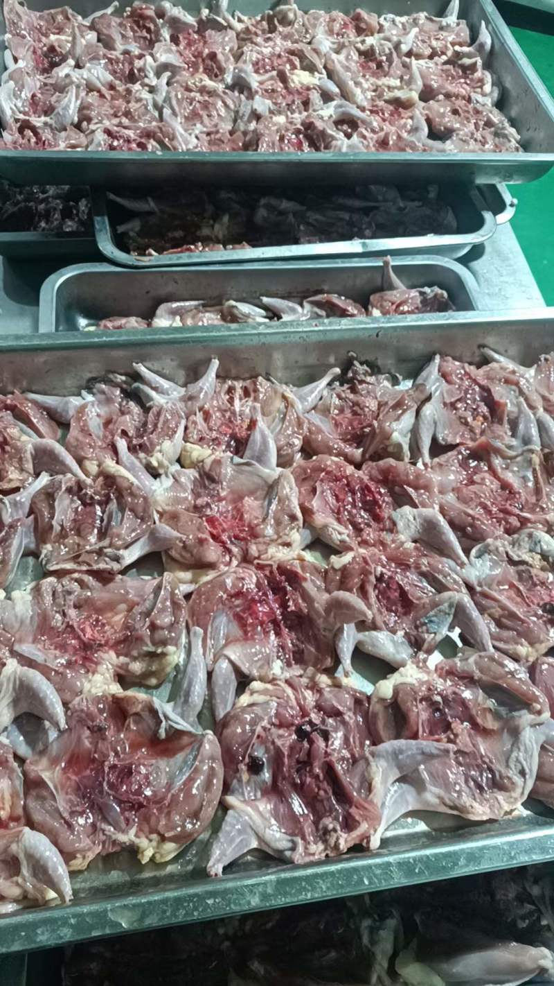 腌制鹌鹑（直接烤，100只/件）