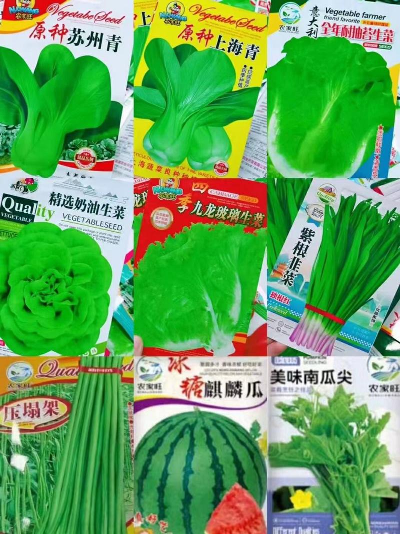 菜种子多品类混装批发一件1000包可选品类
