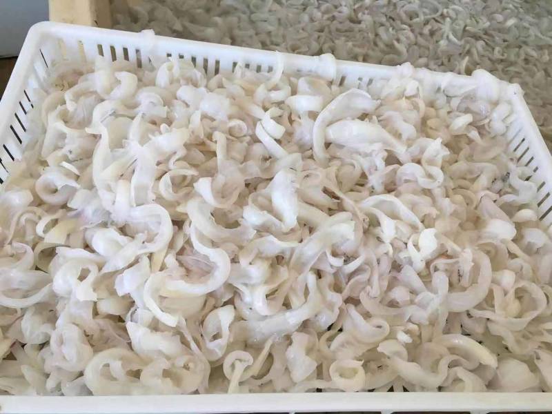 脆墨片，墨鱼片，玉龙片，大墨鱼片，玉龙骨，墨鱼软骨