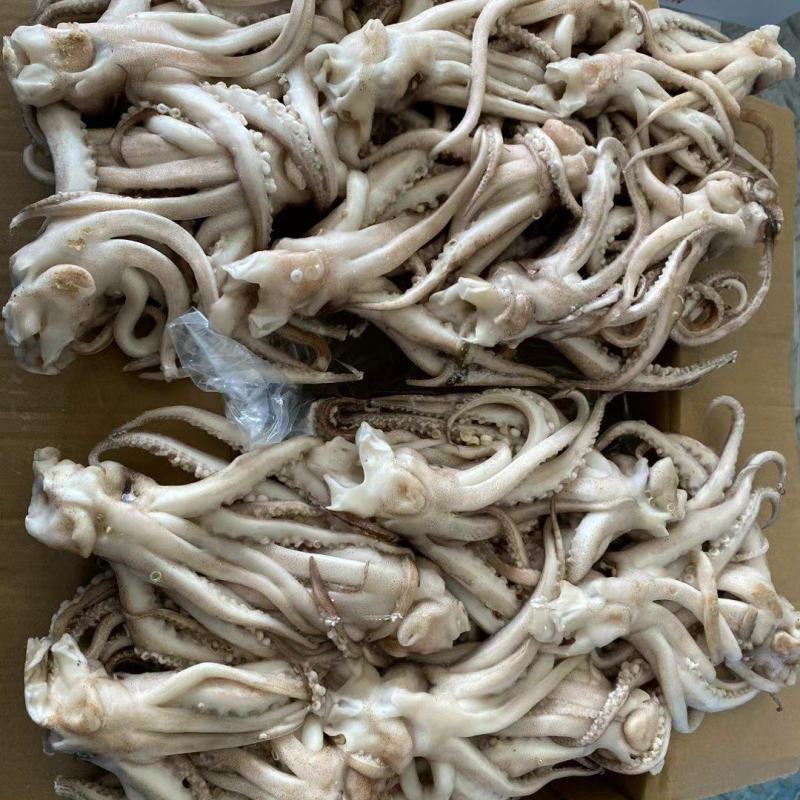 鱿鱼机洗【鱿鱼头】品质优先假一赔十商超品质欢迎抢购