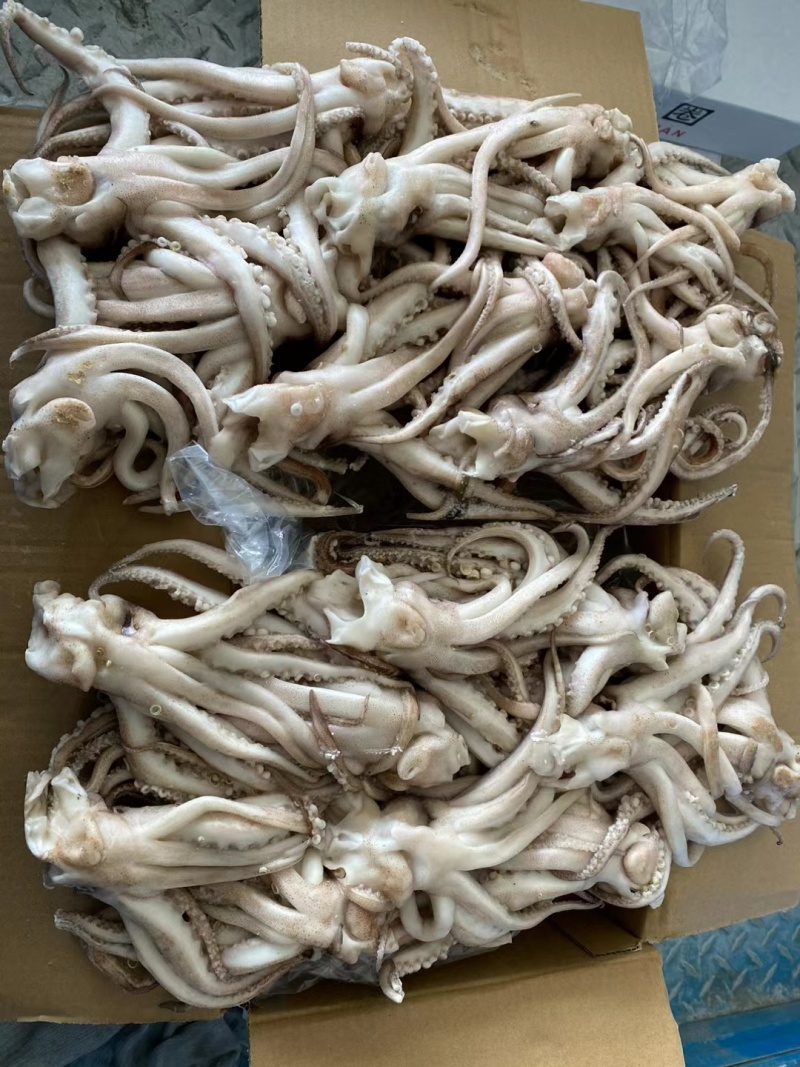 鱿鱼机洗【鱿鱼头】品质优先假一赔十商超品质欢迎抢购