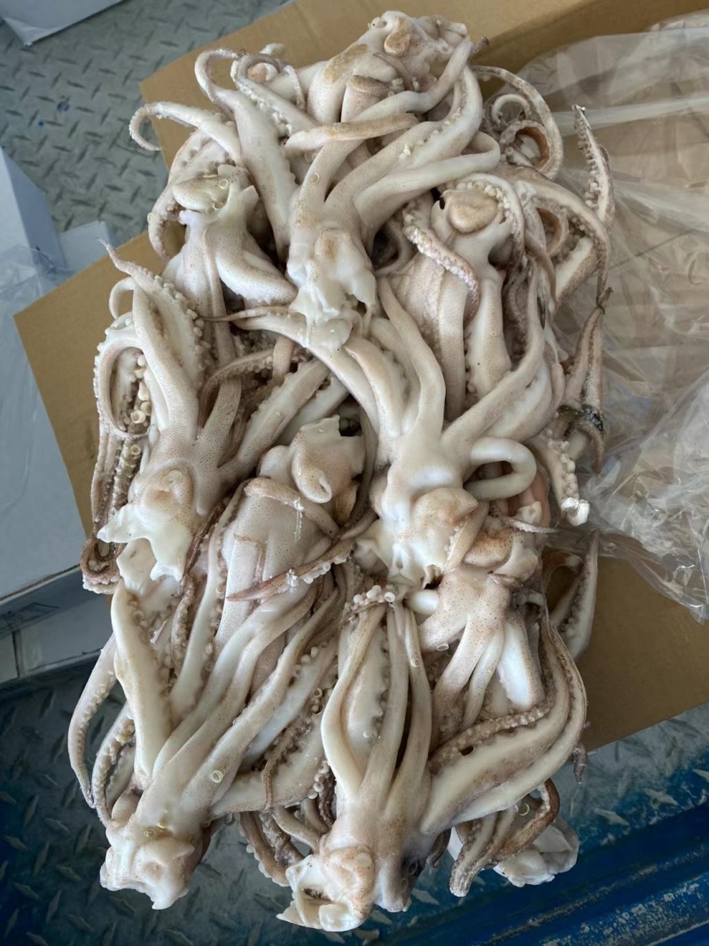 鱿鱼机洗【鱿鱼头】品质优先假一赔十商超品质欢迎抢购