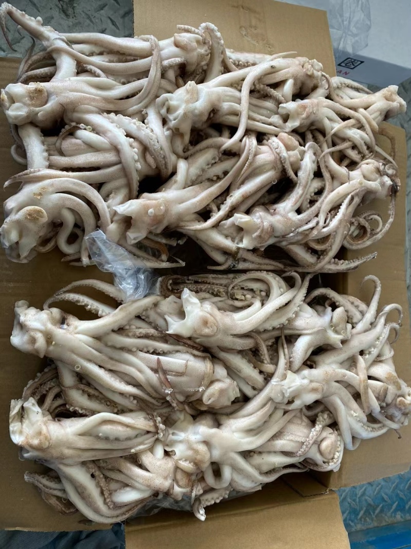 鱿鱼机洗【鱿鱼头】品质优先假一赔十商超品质欢迎抢购