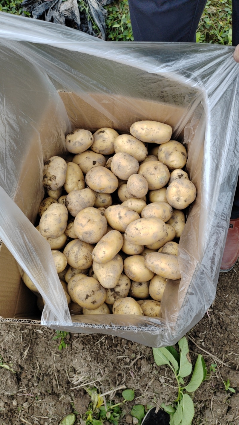 河南十五大量有货欢迎新老客户看过来