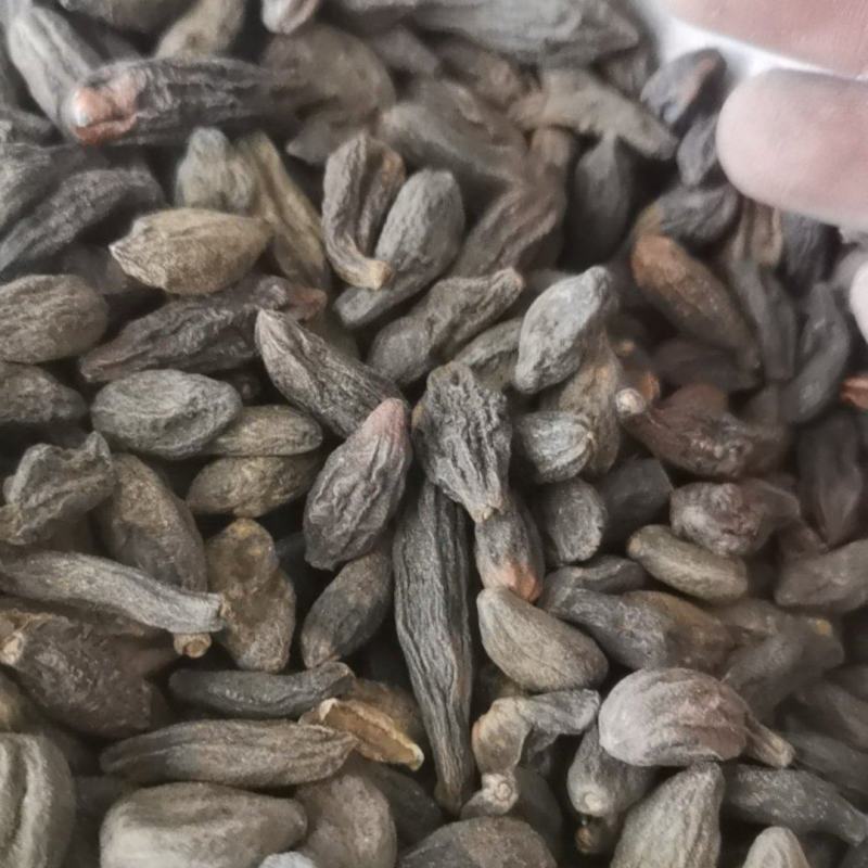 青果西青果泽润中药批发零售各种中药材