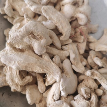 干姜云南罗平干姜个批发零售各种中药材