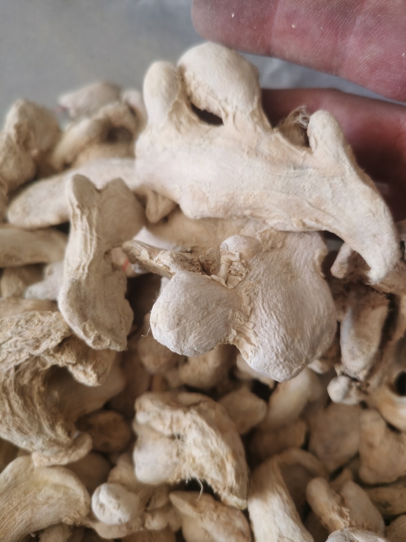 干姜云南罗平干姜个批发零售各种中药材