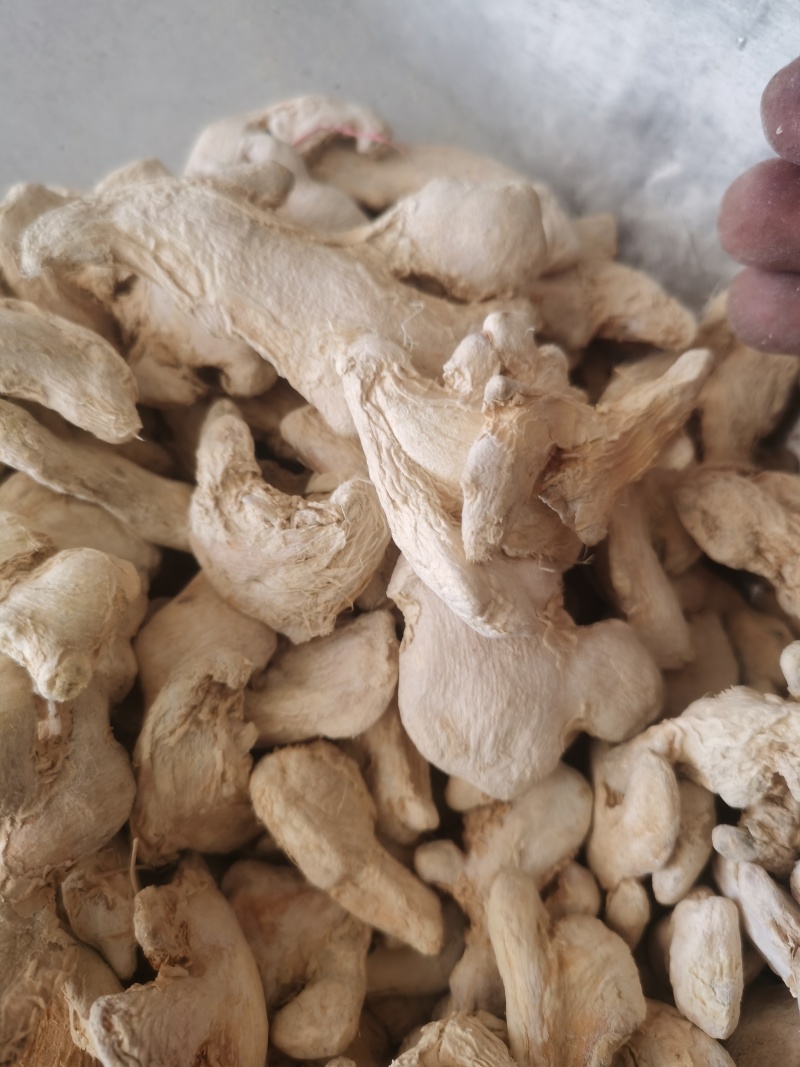 干姜云南罗平干姜个批发零售各种中药材