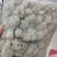 西藏雪莲花藏雪莲正品白雪莲泡酒料雪莲花非天山雪莲