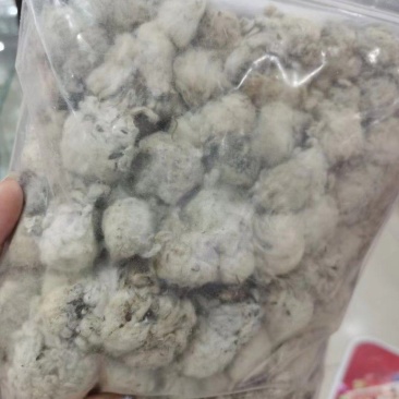 西藏雪莲花藏雪莲正品白雪莲泡酒料雪莲花非天山雪莲