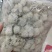 西藏雪莲花藏雪莲正品白雪莲泡酒料雪莲花非天山雪莲