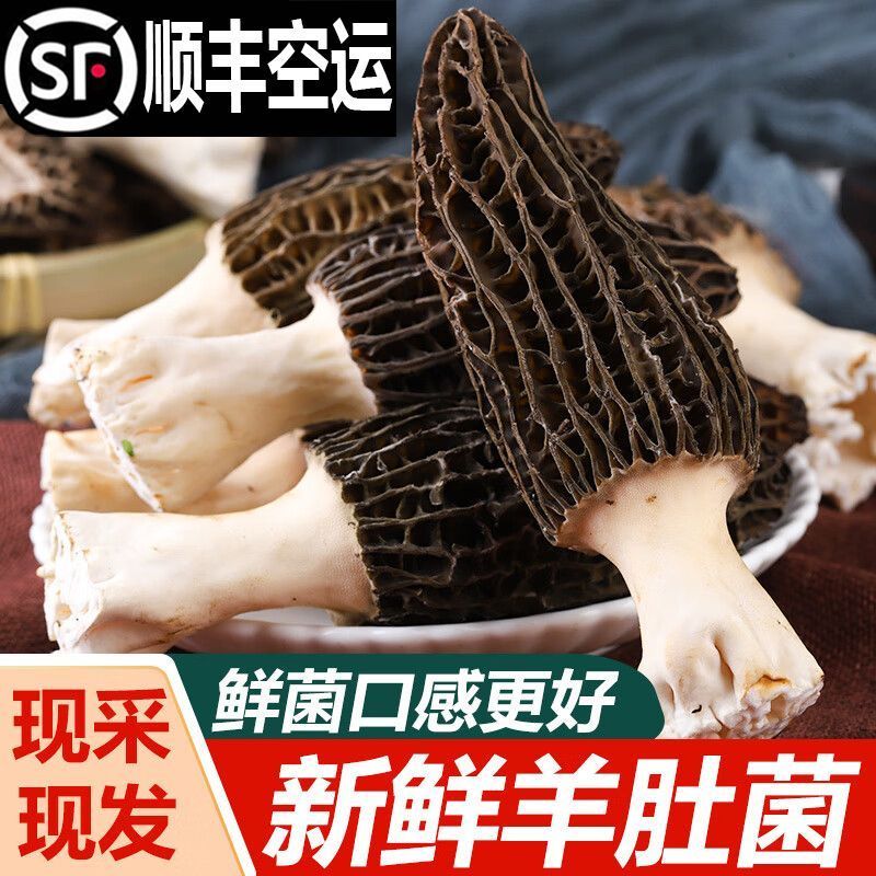 产地直销头茬羊肚菌，一件代发