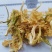 陕西汉中城固干花菜脱水菜花颜色好干净日供5吨