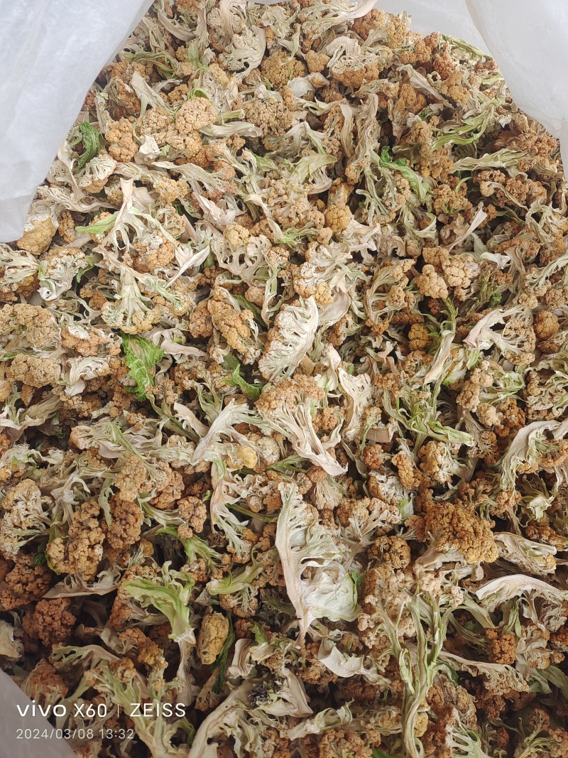 陕西汉中城固干花菜脱水菜花颜色好干净日供5吨