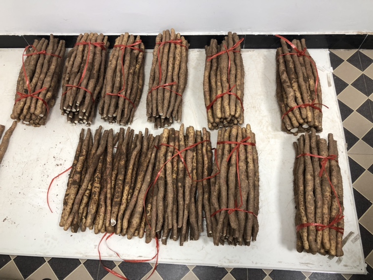 山药与淮山片营养对比图