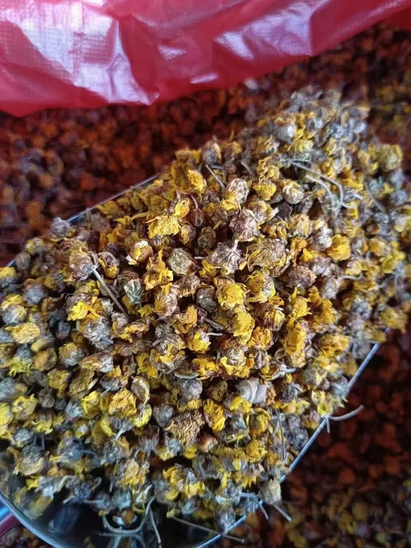 广东省韶关市仁化丹霞山野生菊花茶叶