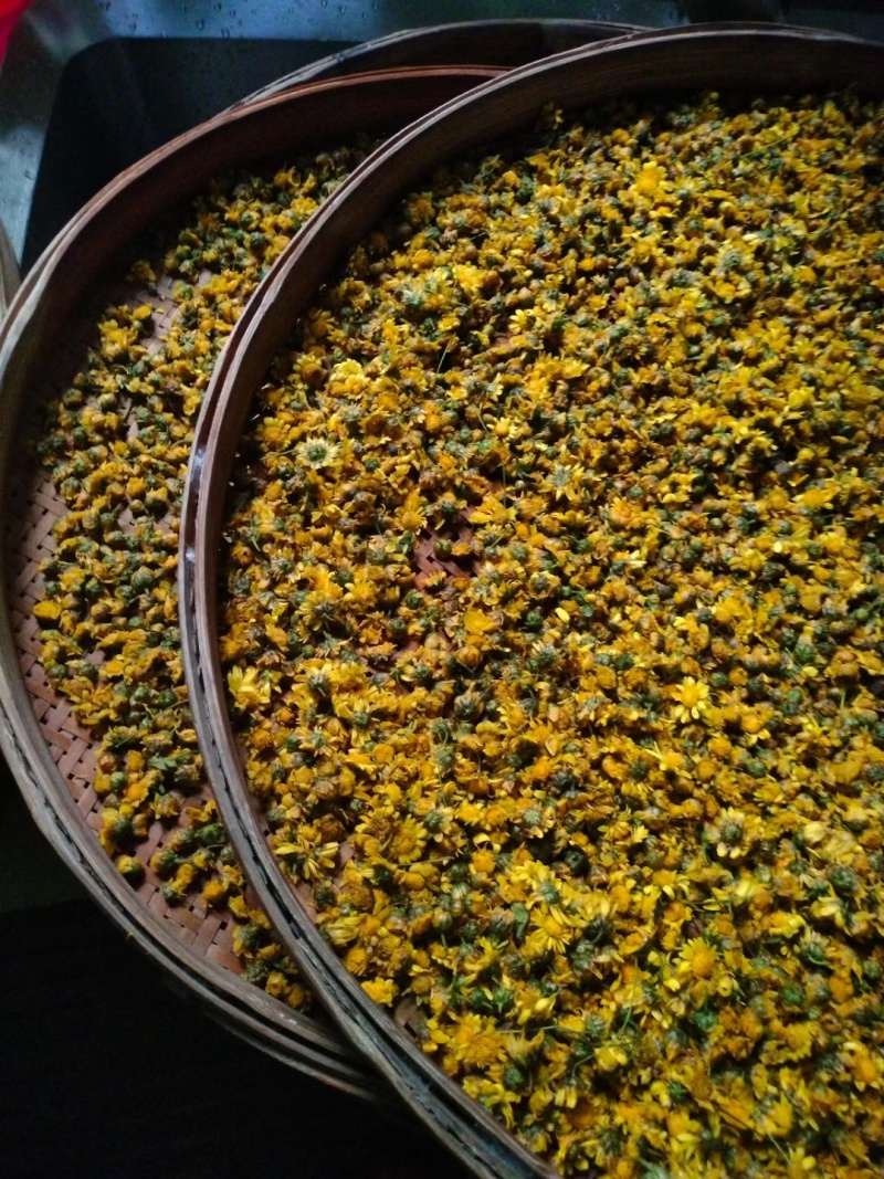 广东省韶关市仁化丹霞山野生菊花茶叶