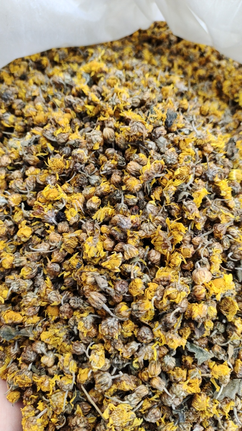 广东省韶关市仁化丹霞山野生菊花茶叶