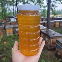 精品蜂蜜荆花枣花百花蜂蜜土蜂蜜量大从优欢迎咨询