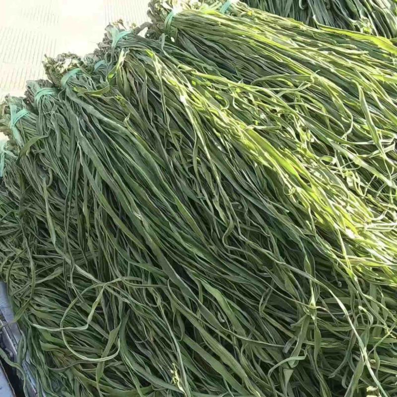 原产地直销精品贡菜干货量充足价格优惠保质保量欢迎咨询