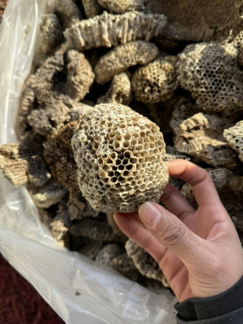 马蜂窝蜂巢马蜂窝保庆药业批发实物拍摄发货如图