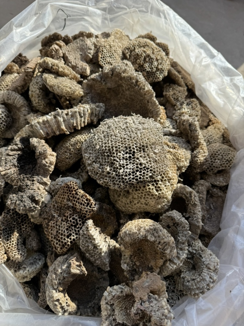 马蜂窝蜂巢马蜂窝保庆药业批发实物拍摄发货如图
