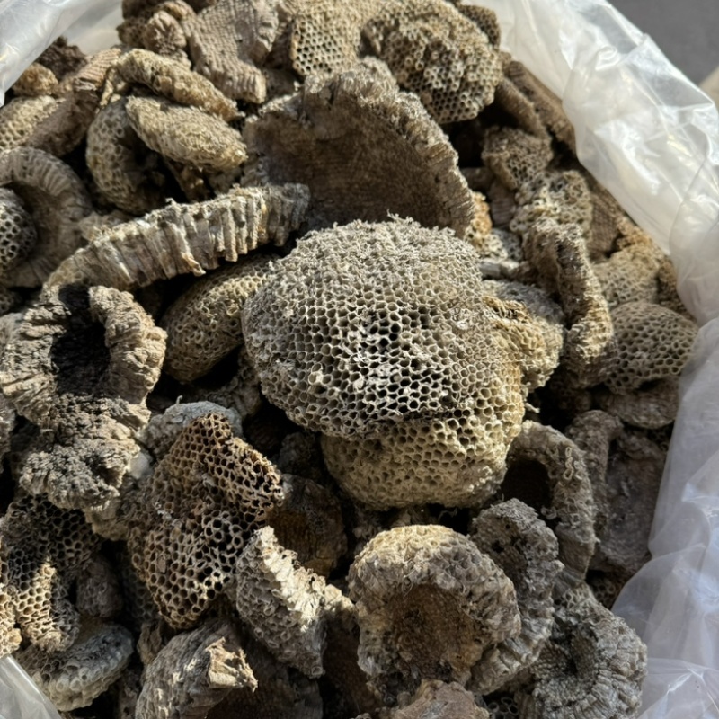马蜂窝蜂巢马蜂窝实物拍摄发货如图保庆药业