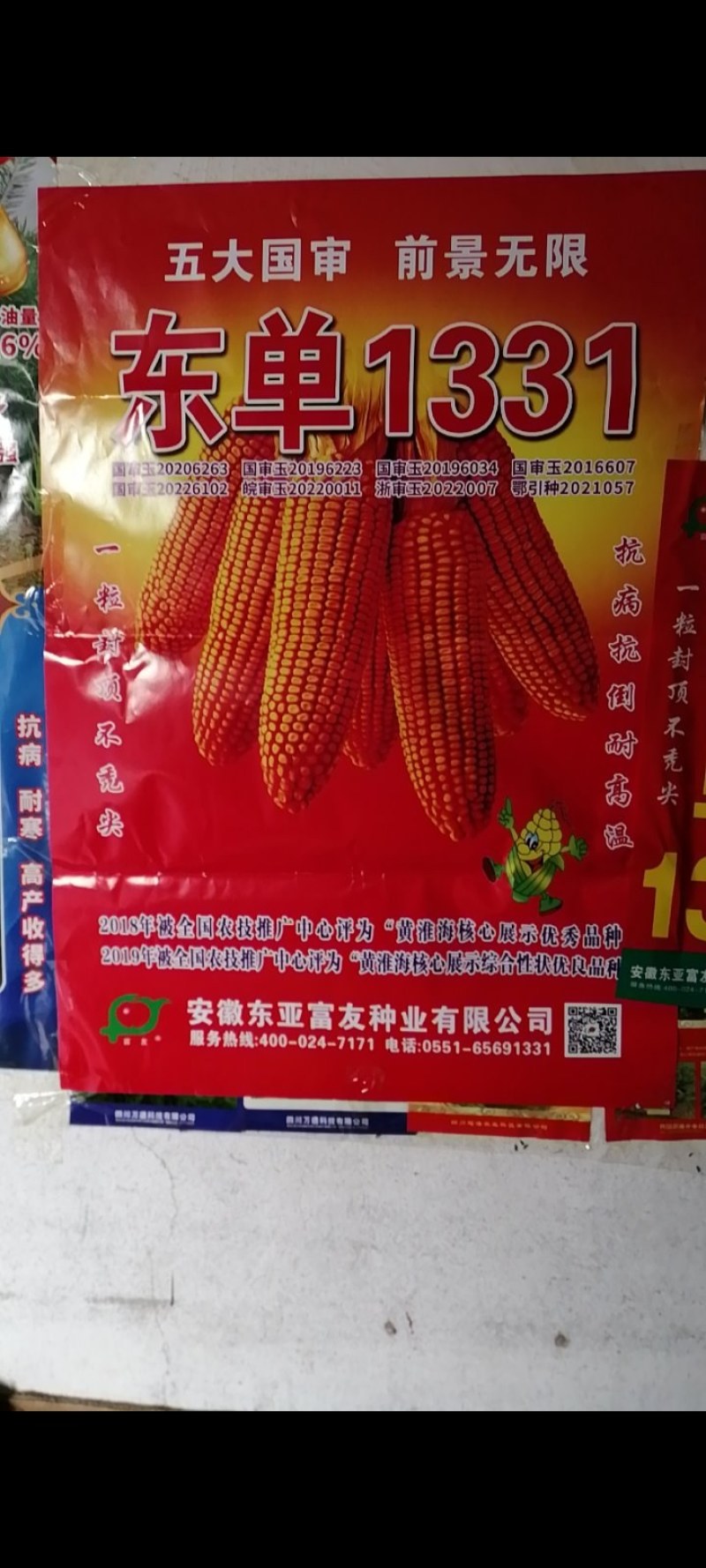 玉米种子，坑病抗倒耐高温。