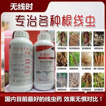 无线时专治根结线虫杀虫杀卵持效期长达3个月