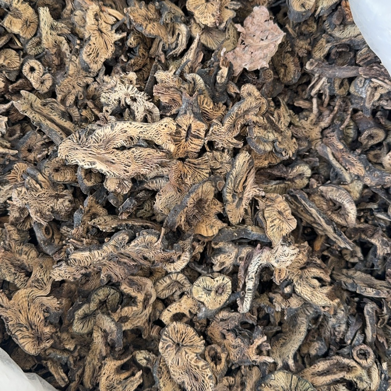 升麻升麻片东北升麻选货现货麻鬼脸10个筛