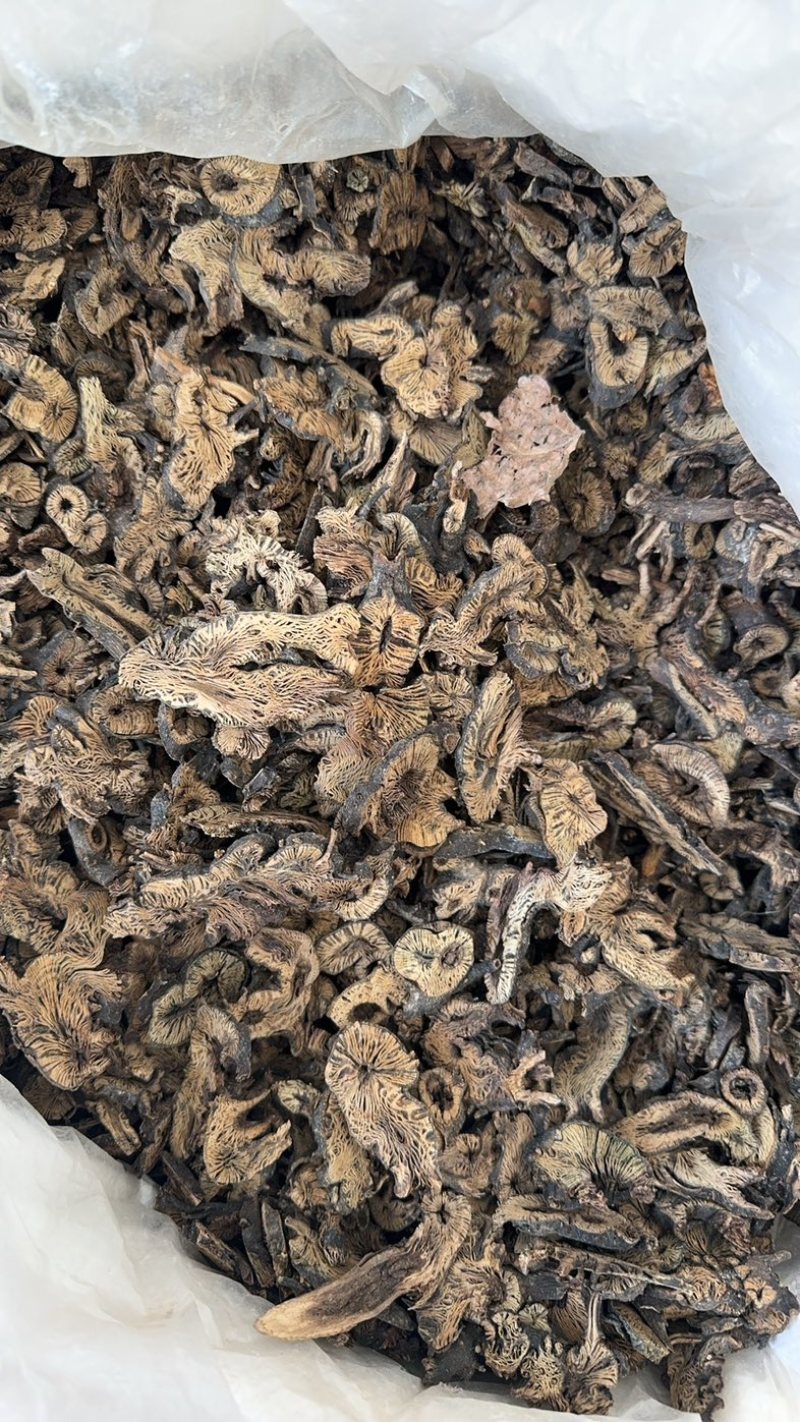 升麻升麻片东北升麻选货现货麻鬼脸10个筛