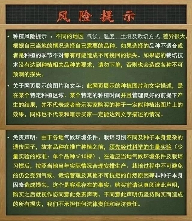 火锅菜种子羽衣甘蓝种子适合密植做苗菜栽培盆栽采摘园基地种