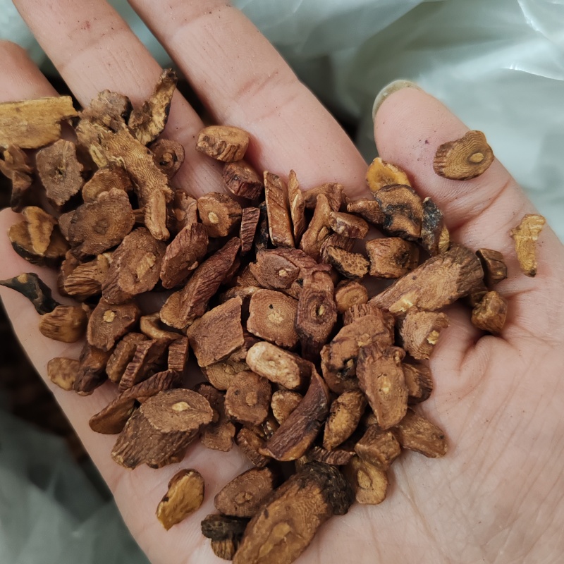 批发.蒲公英根500克泡水婆婆根蒲公英根干货