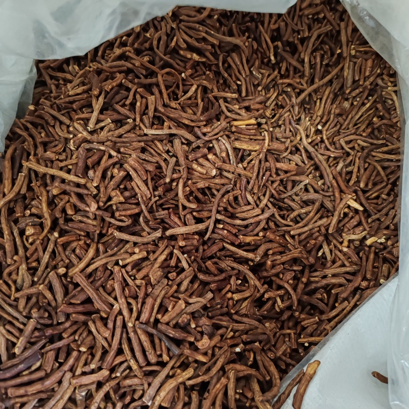 批发.蒲公英根500克泡水婆婆根蒲公英根干货