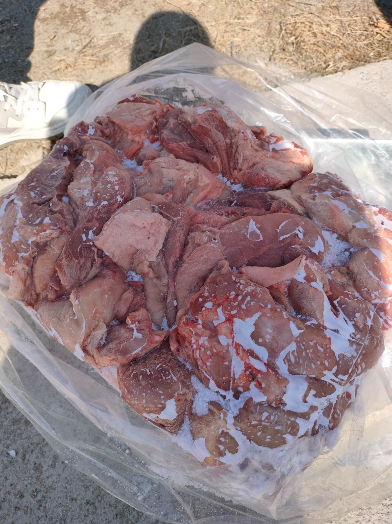 肥猪二级24号肉