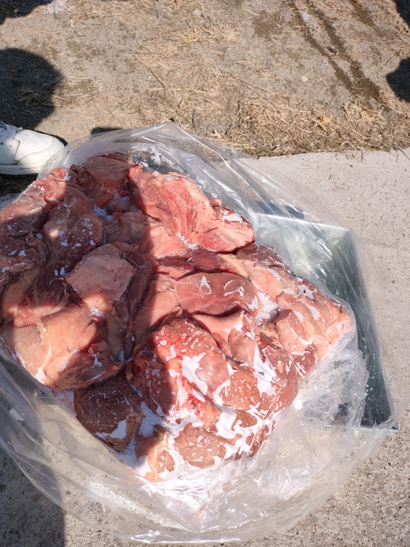 肥猪二级24号肉
