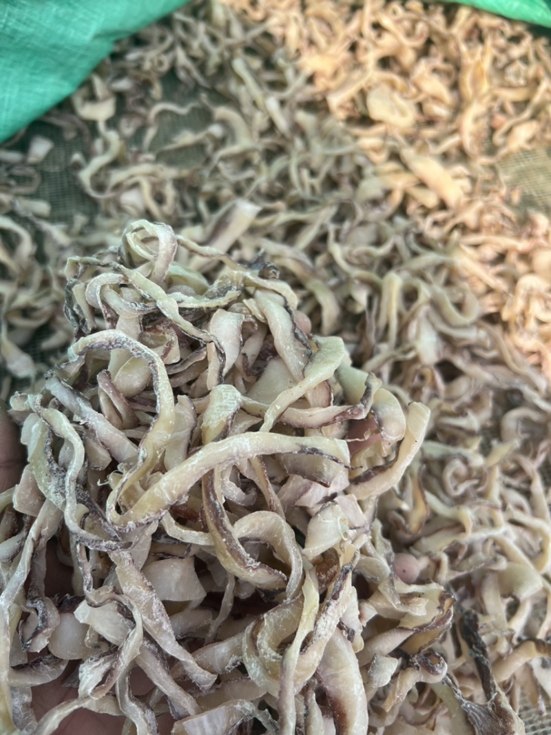 鱿鱼条鱿鱼干边角料鱿鱼圈食堂饭店好食材晒场直发