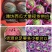 【现货】2K小糖丸吊瓜产地直发各大平台、市场、赶集