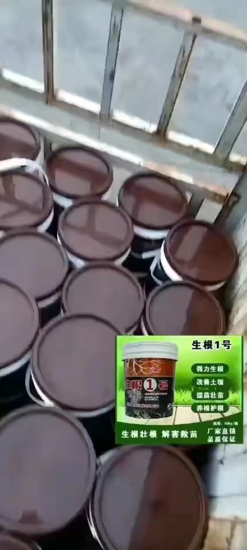 生根1号