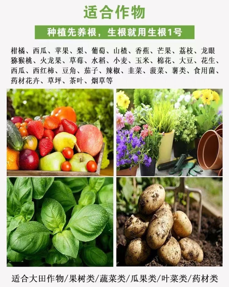 生根1号