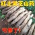 包邮高山红土灵芝山药新鲜现挖粗山药粗款香糯面粉佛手山药
