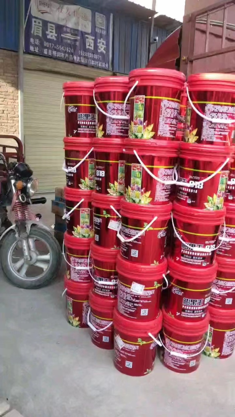 膨果王818