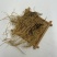 辽宁细辛细辛个水洗细辛新货散装统货中药材批发大量批发药材
