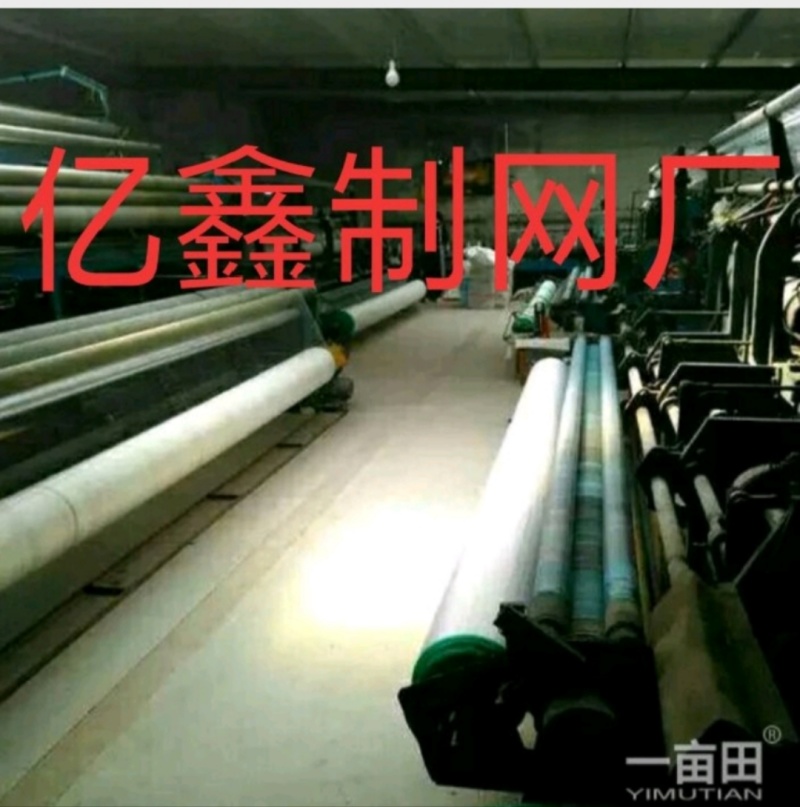 防鸟网，渔塘等定制加工，大量供应，欢迎来电采购