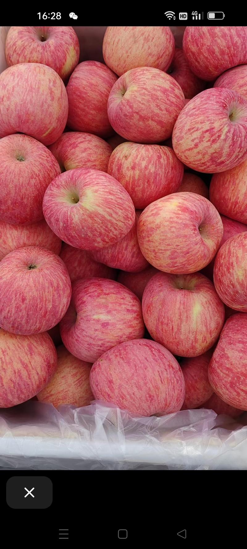 水晶红富士苹果，支持电商，商超，市场，精品红富士全年有货