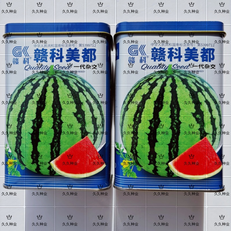 原装赣科大果美都麒麟瓜种子中早熟品种耐裂薄皮大红高糖西瓜