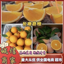 秭归脐橙橙子伦晚脐橙产地直供实力代发全国电商超市