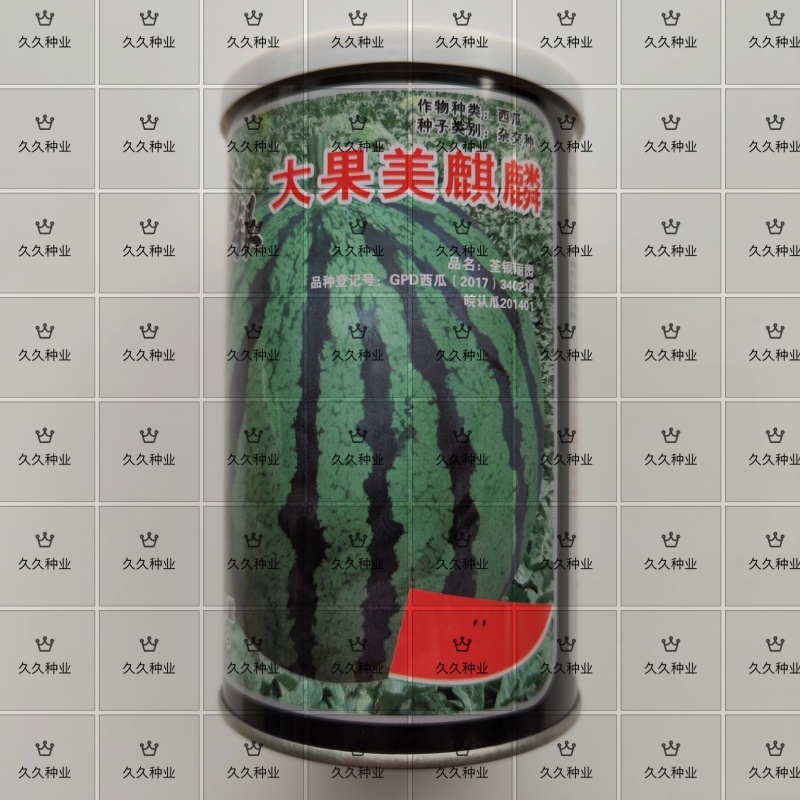 西瓜种子大果美麒麟西瓜中早熟红瓤抗病皮薄甜脆耐茬杂交