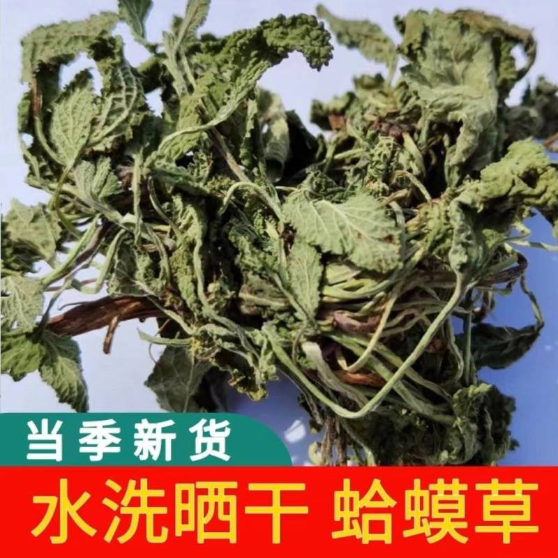 水洗干蛤蟆草，鲜蛤蟆草，带根蛤蟆草，去根蛤蟆草，无硫无杂