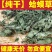 水洗干蛤蟆草，鲜蛤蟆草，带根蛤蟆草，去根蛤蟆草，无硫无杂